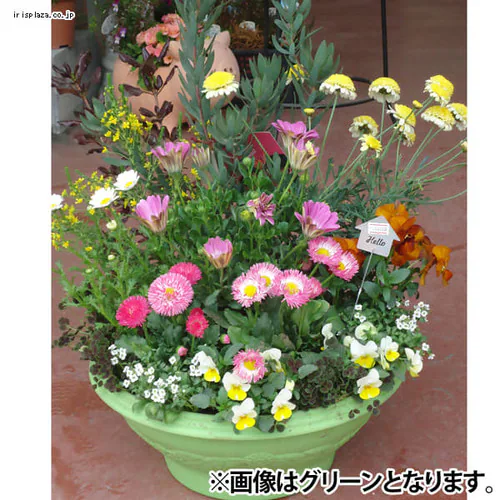 レリーフボールプランター 360 ブルー_3