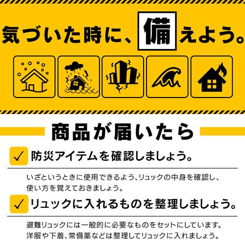 防災士監修 防災リュック 1人用 31点 防災セット 防災グッズ BS131