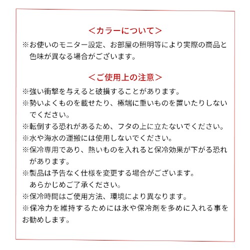 HUGEL �N�[���[�{�b�N�X 40L ��8.4���ۗ� ��e�� TC-40 �x�[�W���@_18