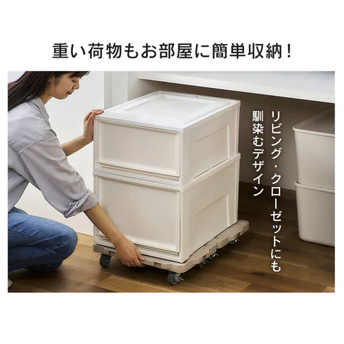  �y2��Z�b�g�z��� �A�� �~�j ����� �ω׏d100kg RMH-421 �x�[�W��_2