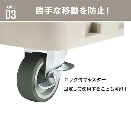  �y2��Z�b�g�z��� �A�� �~�j ����� �ω׏d100kg RMH-421 �x�[�W��_6