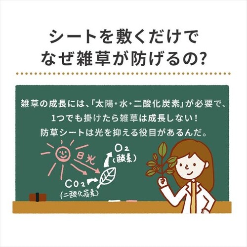 �h���V�[�g 10�l BS-10 �u���b�N_2