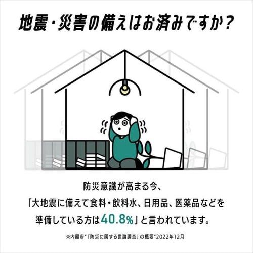 �h�Ѓ����b�N 1�l�p 48�_ �L���X�^�[�t�� �h�ЃZ�b�g �h�ЃO�b�Y PKRS-44_2