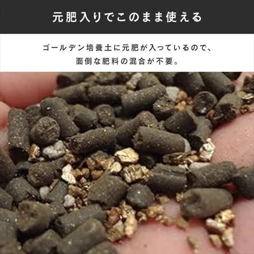 �y2�܁z�� ��ؗp�̔|�{�y 12L_2