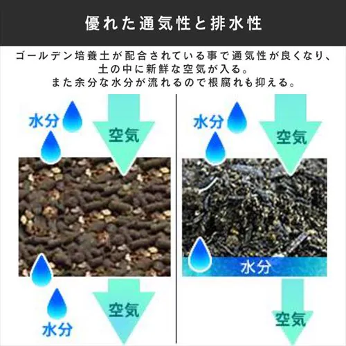 �y2�܁z�� ��ؗp�̔|�{�y 12L_3