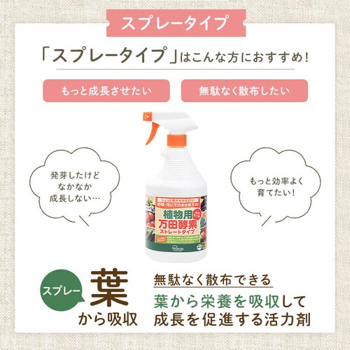 �A���p���c�y�f�X�g���[�g�^�C�v�i900cc�j_5