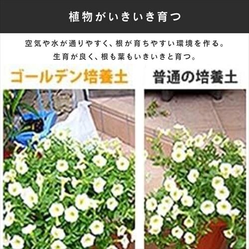 �|�{�y �S�[���f������ 14L GRBA-14_3