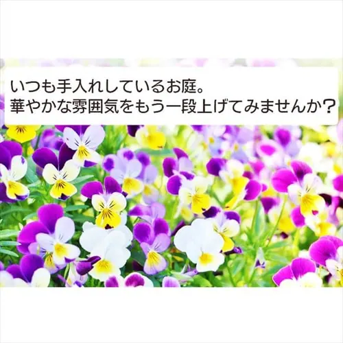 草刈機 剪定 ヘッジトリマー 軽量 18V 充電式 バッテリー付き JHT350_4