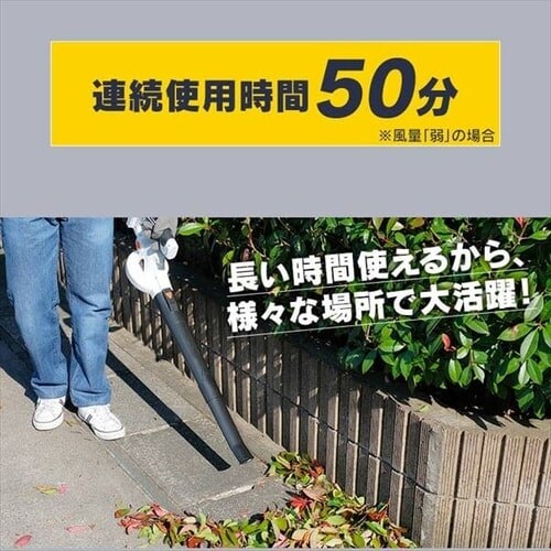 �y�o�b�e���[2�Z�b�g�z�u�����[ 18V �R�[�h���X �y�� �[�d��  JB181_2