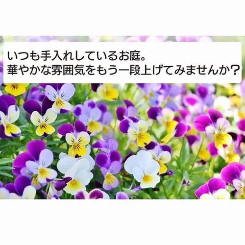 【訳あり】草刈機 ヘッジトリマー 550mm AC電源タイプ AHT61_3