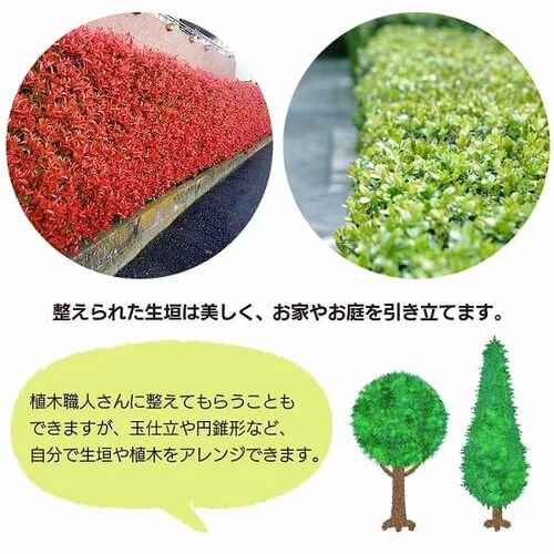 【訳あり】草刈機 ヘッジトリマー 550mm AC電源タイプ AHT61_7