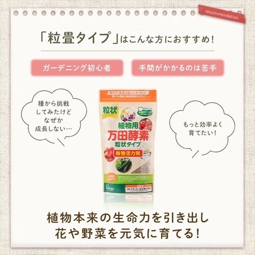 �A���p���c�y�f ����^�C�v_3