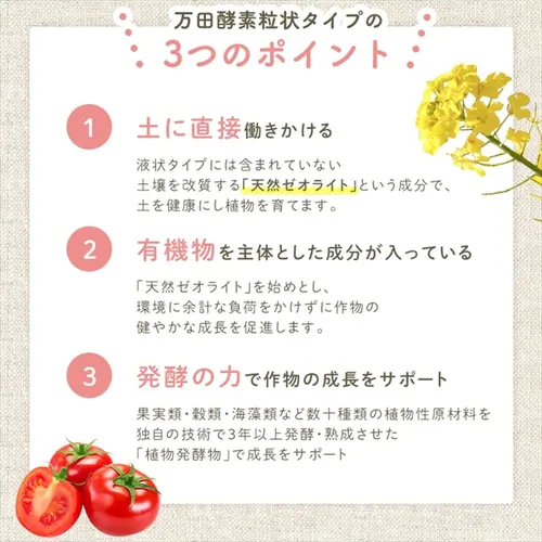 �A���p���c�y�f ����^�C�v_4