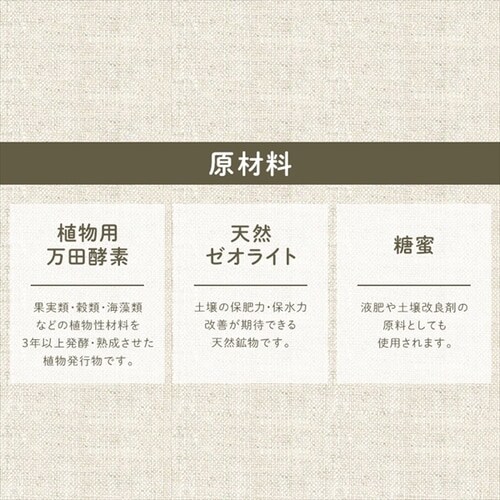 �A���p���c�y�f ����^�C�v_5