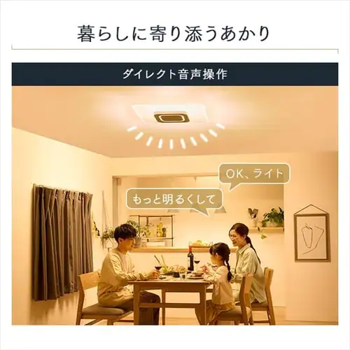 LED シーリングライト 12畳 調光 調色 音声操作 工具・工事不要 リモコン付き 5年保証 CEK-A12DLPSV_4