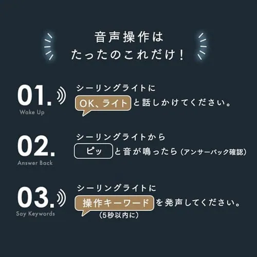 LED シーリングライト 12畳 調光 調色 音声操作 工具・工事不要 リモコン付き 5年保証 CEK-A12DLPSV_6