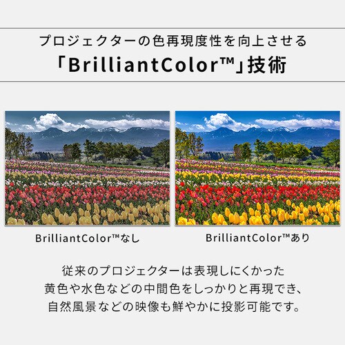 プロジェクター アイリスオーヤマ 大画面 レーザー 業務用 ビジネス