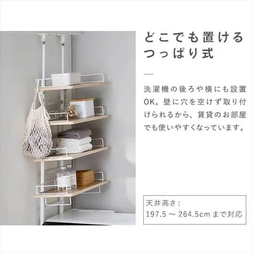 �����h���[���b�N �˂�����^�C�v TLR-4 �z���C�g/���C�g�i�`������_8