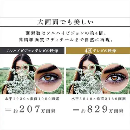 �y�ݒu�����z Fiona �t���e���r 4K 43V�^ 43UB10PC_5