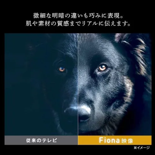 �y�ݒu�����z Fiona �t���e���r 4K 55V�^ 55UB10PC�y������s�z�y�O�����s�z_8