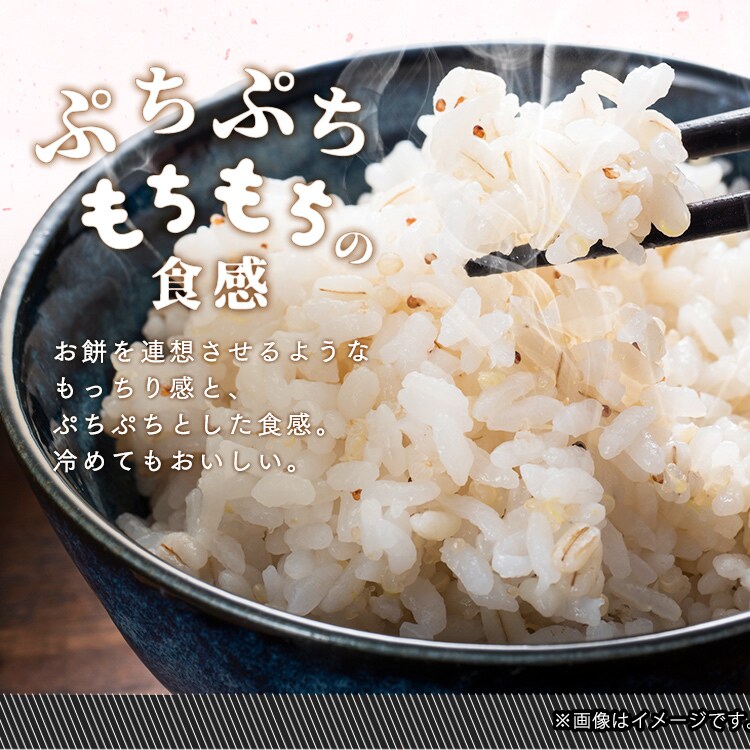 国産もち麦 30g×20袋 H102923 │アイリスオーヤマ公式通販アイリスプラザ