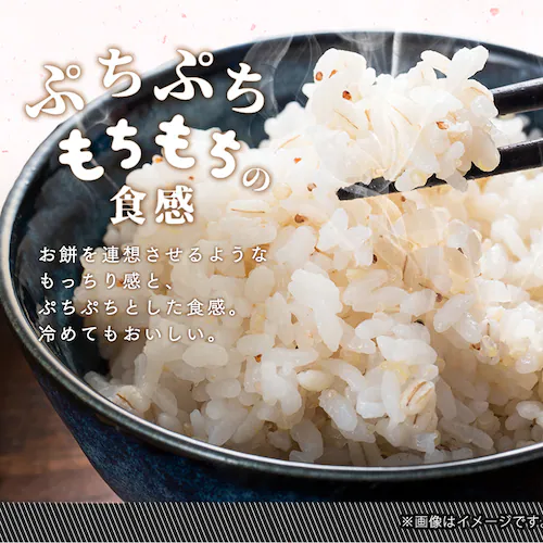 ���Y������ 30g�~20��_3