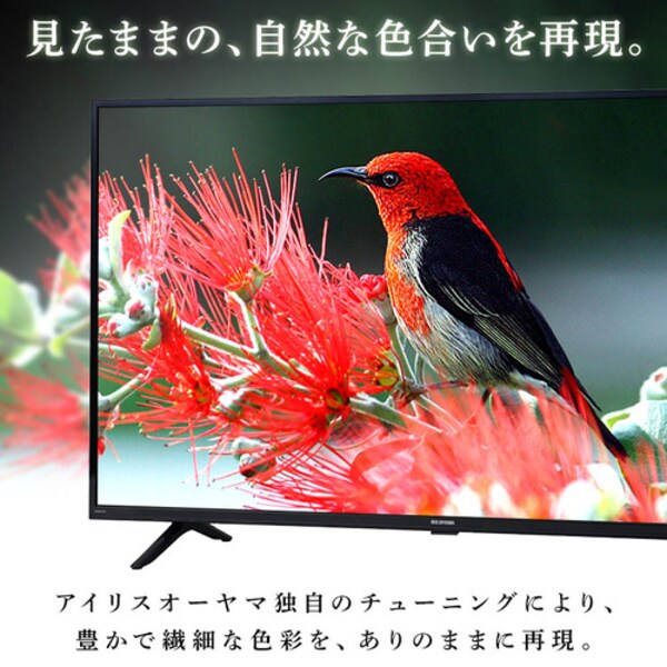 Fiona 液晶テレビ 32V型 32WB10PB H103076 │アイリスオーヤマ公式通販 
