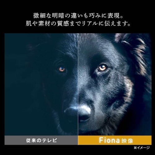 �e���r 40V�^ Fiona 40FB10PB_7