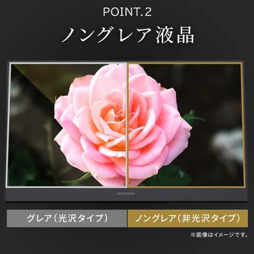 ポータブルモニター 15.6インチ 自立スタンド LUCA DP-BF162S-B_10