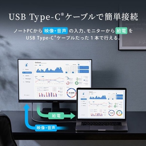 モニター 23.8インチ ディスプレイ LUCA Type-C対応 LUCA DC-AF233S-B