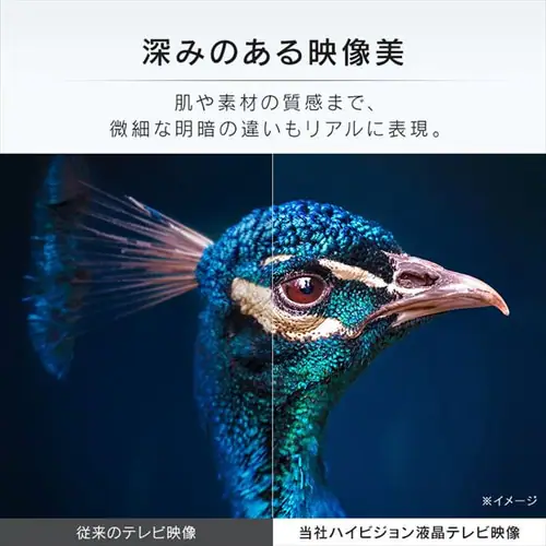 LUCA 液晶テレビ 40V型 LT-40E420B_4