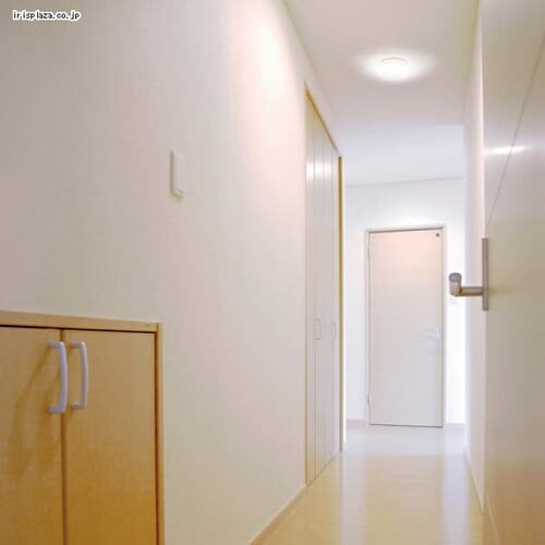 �y�󂠂�z���^�V�[�����O���C�g �l���Z���T�[�t SCL5DMS-HL �����F _14