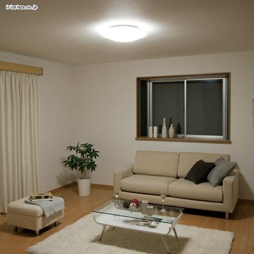 LED�V�[�����O���C�g CL12D-CF1�y�`12��z����_5