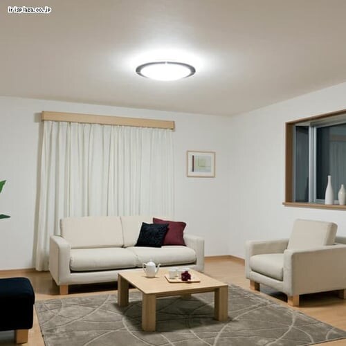 LED�V�[�����O���C�g CL14D-WF1-M�y�`14��z���� �_�[�N�u���E��_6