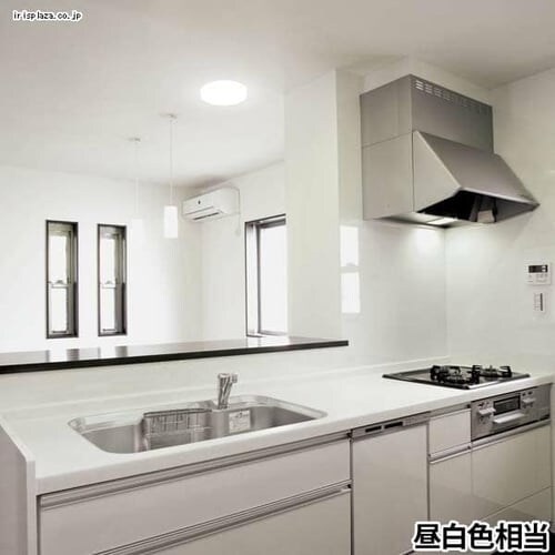 LED�V�[�����O���C�g LED ���^ 1750lm �d���F ���� �L�� �L�b�`�� ���ʏ� �N���[�[�b�g �Ɩ� SCL18L-E_3