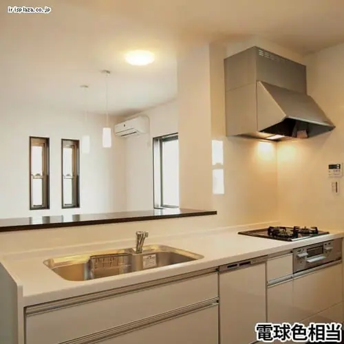 LED�V�[�����O���C�g LED ���^ 1750lm �d���F ���� �L�� �L�b�`�� ���ʏ� �N���[�[�b�g �Ɩ� SCL18L-E_6