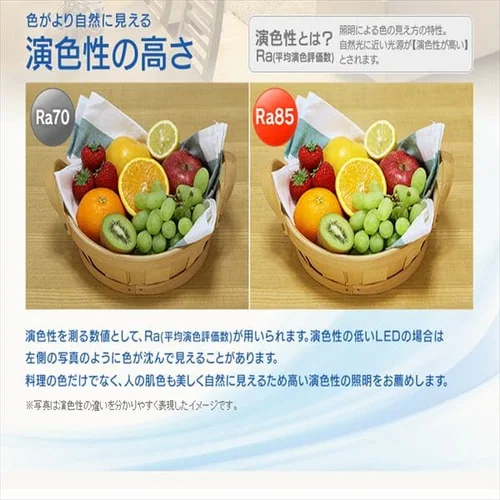 �y�󂠂�zLED�V�[�����O���C�g ���^���T�[�L�b�g�V���[�Y �f�U�C�������O�^�C�v 12�� CL12DL-PM_8