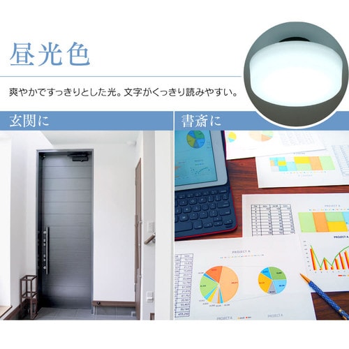 �y2�Z�b�g�z�V�[�����O���C�g LED ���^ ���^���T�[�L�b�g�V���[�Y 1600lm �����F ���� �L�� �L�b�`�� ���ʏ� �N���[�[�b�g �Ɩ� SCL16D-MCHL_8