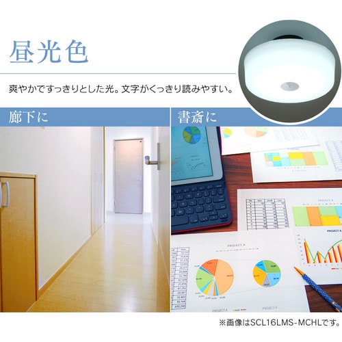 �V�[�����O���C�g LED ���^ ���^���T�[�L�b�g�V���[�Y 600lm �l���Z���T�[�t �����F ���� �L�� �L�b�`�� ���ʏ� �N���[�[�b�g �Ɩ� SCL6DMS-MCHL_8