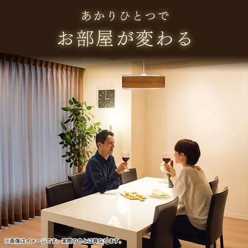 �f�U�C���y���_���g���C�g ���^���T�[�L�b�g�V���[�Y ��^ 6�� ���� PLM6D-ADWN�EPLM6D-ADWO �S2�F_3