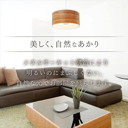 �f�U�C���y���_���g���C�g ���^���T�[�L�b�g�V���[�Y �[�^ 12�� ���� PLM12D-FDWN�EPLM12D-FDWO �S2�F_6