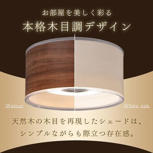 �f�U�C���y���_���g���C�g ���^���T�[�L�b�g�V���[�Y �[�^ 12�� ���� PLM12D-FDWN�EPLM12D-FDWO �S2�F_7