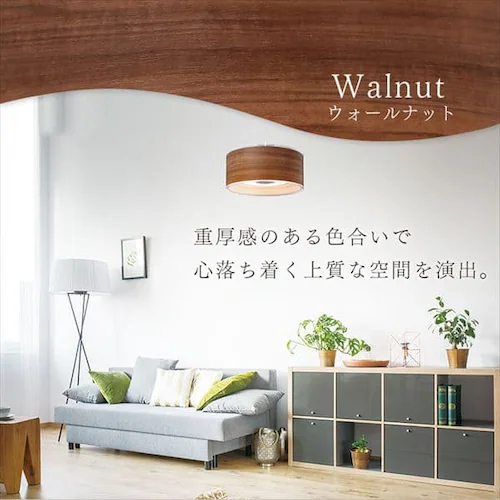 �f�U�C���y���_���g���C�g ���^���T�[�L�b�g�V���[�Y �[�^ 12�� ���� PLM12D-FDWN�EPLM12D-FDWO �S2�F_8