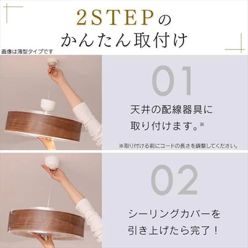 �f�U�C���y���_���g���C�g ���^���T�[�L�b�g�V���[�Y �[�^ 12�� ���� PLM12D-FDWN�EPLM12D-FDWO �S2�F_17