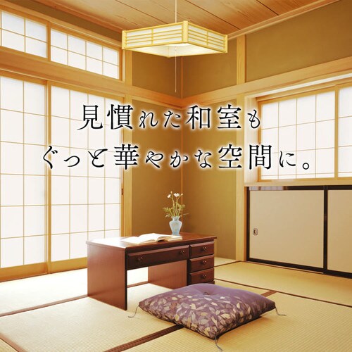 �a���y���_���g���C�g ���^���T�[�L�b�g�V���[�Y 8�� ���F PLM8DL �S2��_6