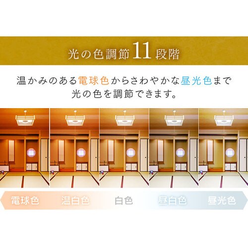 �a���y���_���g���C�g ���^���T�[�L�b�g�V���[�Y 8�� ���F PLM8DL �S2��_9