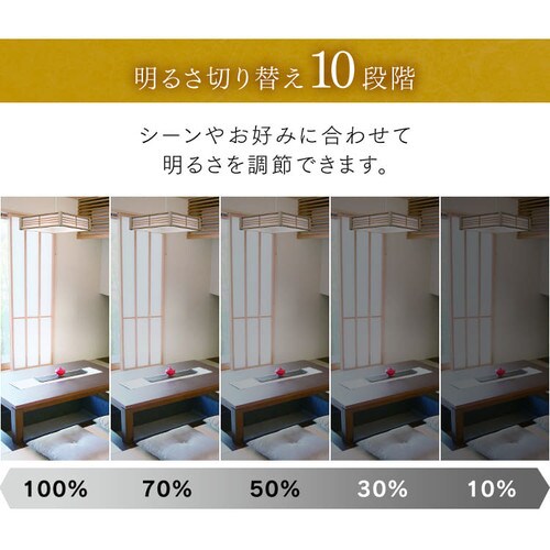 和風ペンダントライト メタルサーキットシリーズ 12畳 調色 PLM12DL 全2種_10