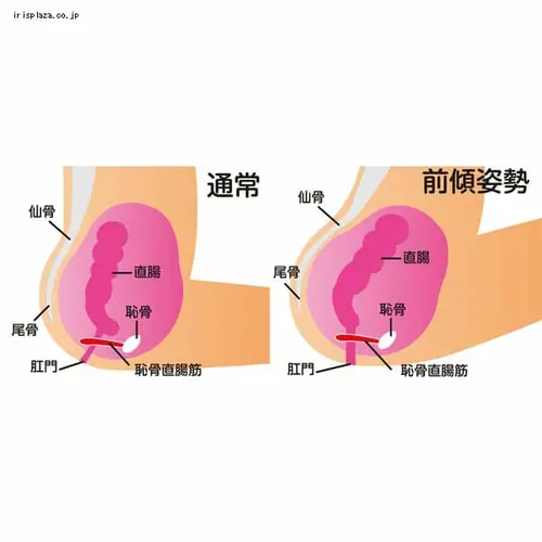 トイレスムーズ ホワイト TLS-200 【プラザマーケット】_5