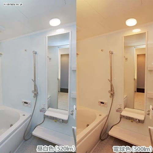 LEDポーチ灯 浴室兼用 丸形 昼白色 520lm CL5N-CIPLS-BS H250532