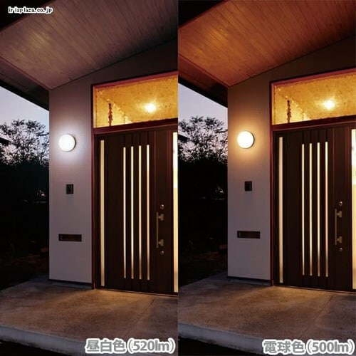 LED�|�[�`�� �������p �ی` �����F 500lm CL5L-CIPLS-BS_5